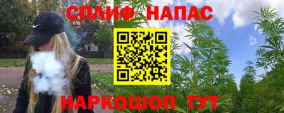 прущие грибы Тула