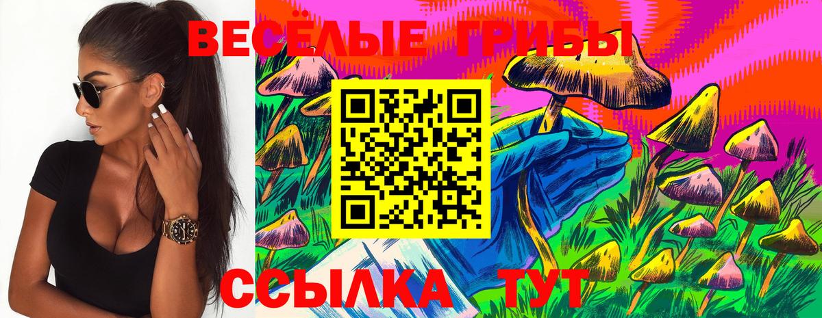 Асино  Псилоцибиновые грибы MAGIC MUSHROOMS  Вход с VPN 