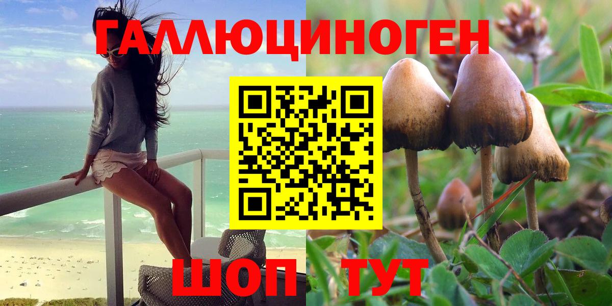 Галлюциногенные грибы Cubensis Асино