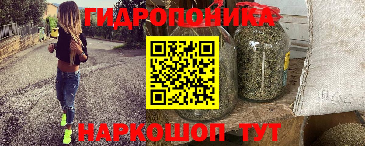 Бошки марихуана гибрид  Каннабис Amnesia  Вход с VPN  Асино  Бошки Шишки SATIVA & INDICA 